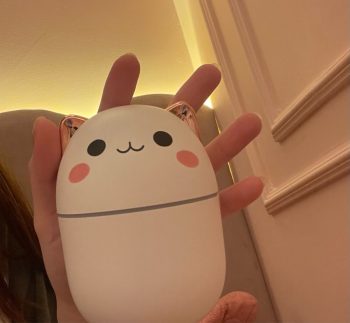 Cute cat design Humidifier
